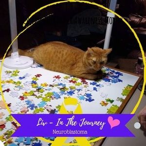 Meet your Posher, Ann